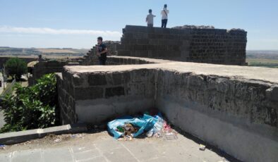 Diyarbakır Surlarında temizlik ne zaman başlayacak?