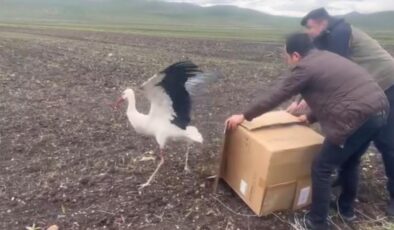 Tedavisi tamamlanan leylek doğal ortamına bırakıldı