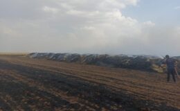 300 ton saman balyası kül oldu