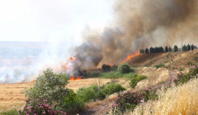 Yangında 300 dönümlük ekili alan zarar gördü