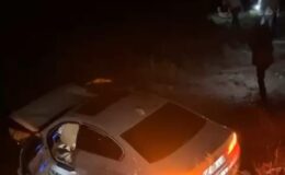 Başkale’de otomobil sürüye çarptı: 18 koyun telef oldu