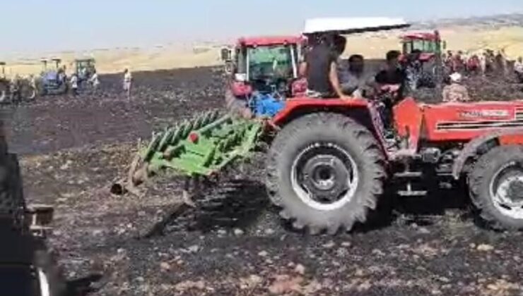 Diyarbakır’da kocaköy yangını 800 dönüm araziyi kül etti