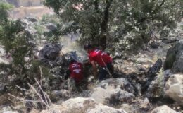 Adıyaman’da orman yangını söndürüldü