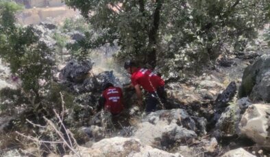 Adıyaman’da orman yangını söndürüldü