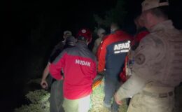 Tunceli’de bozayı saldırısı ölümle sonuçlandı