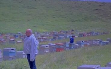 Arıcılar şimşeklerin arasında kaldı