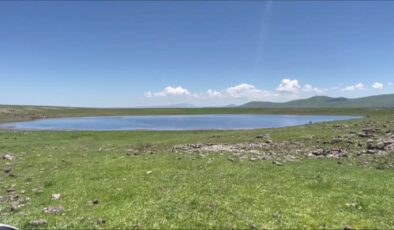 Asboğa Gölü yerli ve yabancı kuş gözlemcilerine ev sahipliği yapıyor