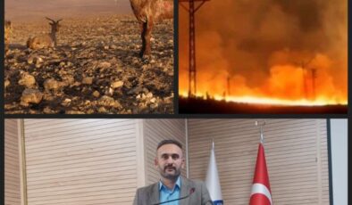 Başkan Sinanoğlu: Afet bölgesi ilan edilsin