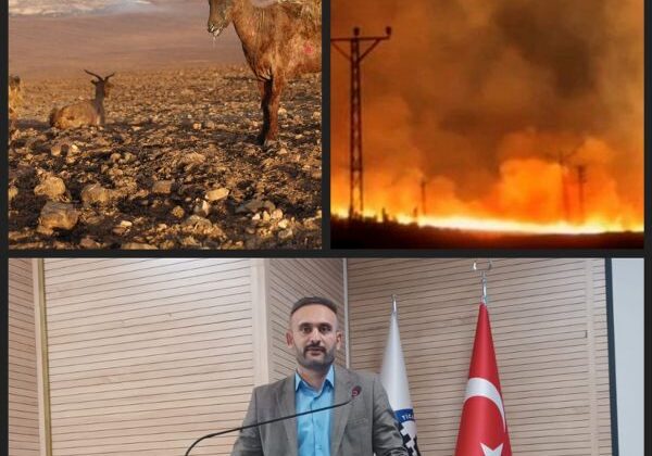 Başkan Sinanoğlu: Afet bölgesi ilan edilsin
