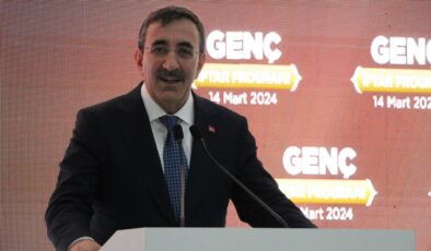 Cumhurbaşkanı Yardımcısı Yılmaz: ”Enflasyonda hedef tek haneli oran”