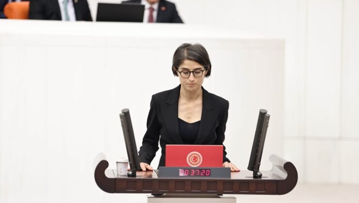 Çınar ve Mazıdağı için “afet bölgesi” talebi