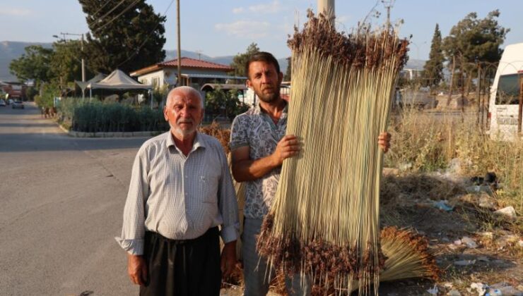 Çığ sergisi, Maraş tarhanasının vazgeçilmezi