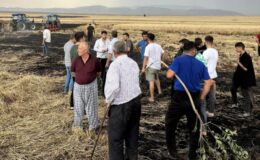 Cizre’de yıldırımlar buğday tarlalarını kül etti
