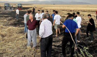Cizre’de yıldırımlar buğday tarlalarını kül etti