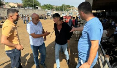 Diyabakır’da kurbanlık pazarlıkları hız kazandı