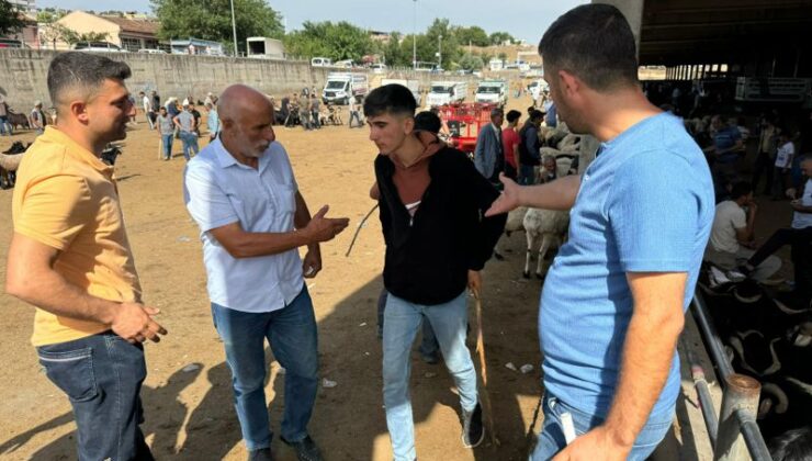 Diyabakır’da kurbanlık pazarlıkları hız kazandı