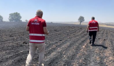 Diyarbakır ve Mardin’deki çiftçilerin zararları tespit edildi