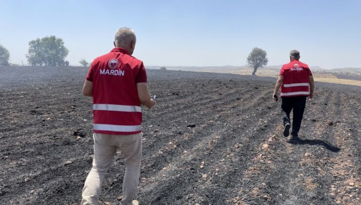 Diyarbakır ve Mardin’deki çiftçilerin zararları tespit edildi