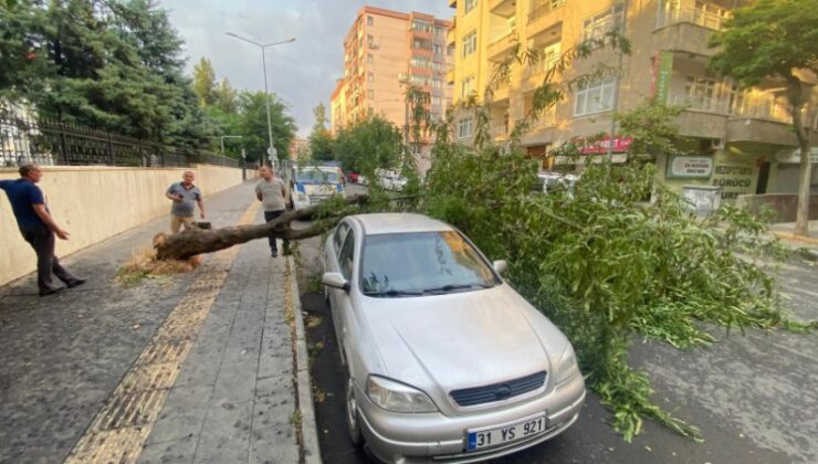 Diyarbakır’da ağaç otomobilin üzerine devrildi