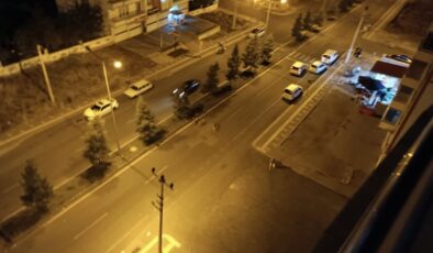 Diyarbakır’da, başıboş köpekler mahalle sakinlerini tedirgin ediyor