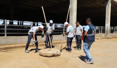 Diyarbakır’da bayram öncesi kanal temizliği