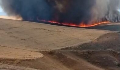 Diyarbakır’da geniş arazi yangını söndürüldü