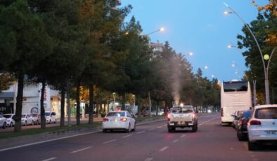 Diyarbakır’da haşerelere karşı kapsamlı ilaçlama