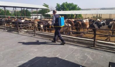 Diyarbakır’da kurban yerleri ilaçlanıyor