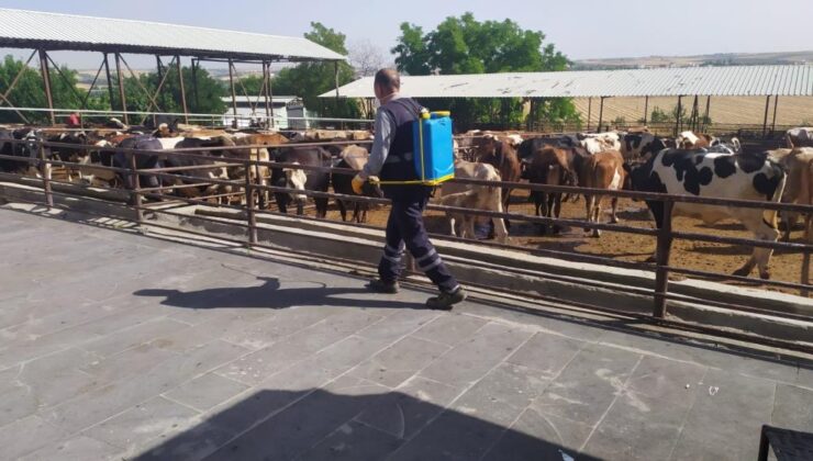 Diyarbakır’da kurban yerleri ilaçlanıyor