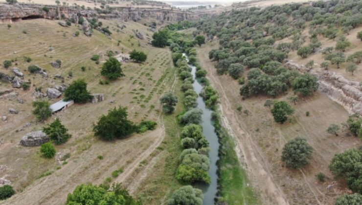 Diyarbakır’da sıcaklarda Ambarçay’a büyük ilgi