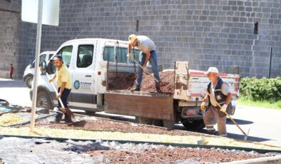 Diyarbakır’da su tasarruflu peyzaj çalışmaları başladı