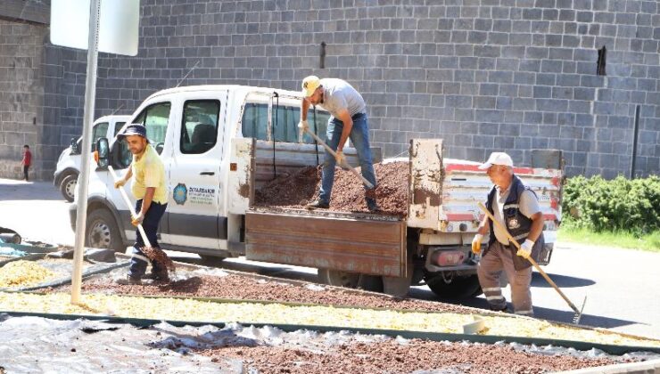 Diyarbakır’da su tasarruflu peyzaj çalışmaları başladı