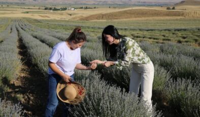 Diyarbakırlı Kadın girişimci memleketinde lavanta bahçesi kurdu