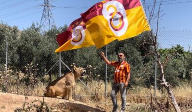 Diyarbakırlı taraftar Galatasaray’ı aslanlarıyla kutladı