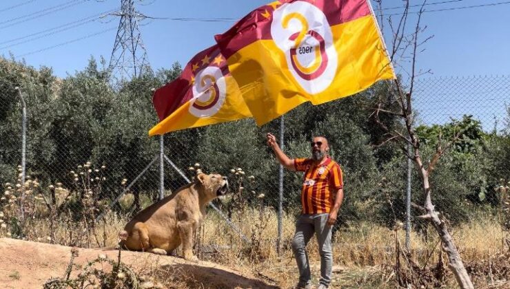 Diyarbakırlı taraftar Galatasaray’ı aslanlarıyla kutladı