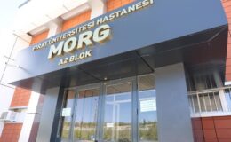 Düğünde boğazına şeker kaçan çocuk hayatını kaybetti