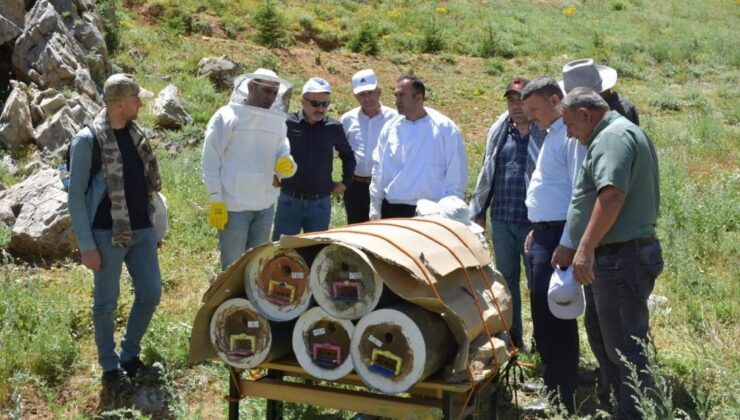 Dünyanın en kaliteli balını üretmek için çalışıyorlar