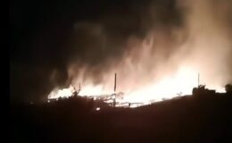 Elazığ’da orman yangını korkuttu
