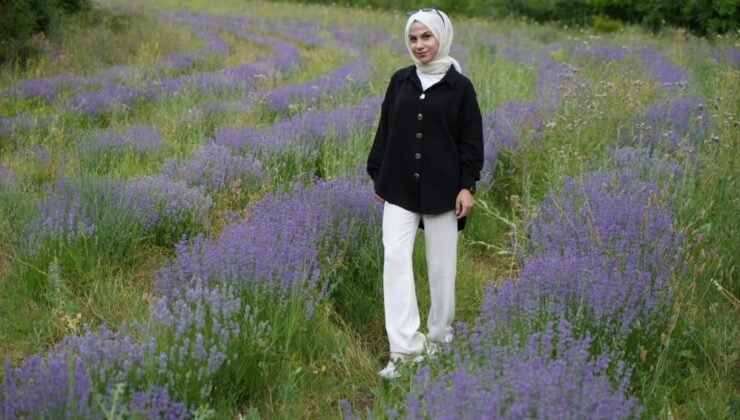 Erzincan lavanta üretimine odaklanıyor