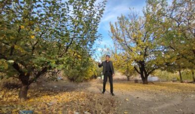 Erzurum’da ormanlara giriş yasağı