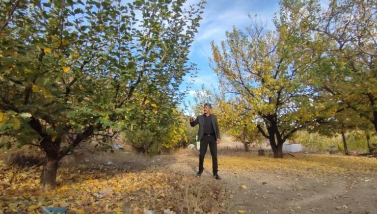 Erzurum’da ormanlara giriş yasağı