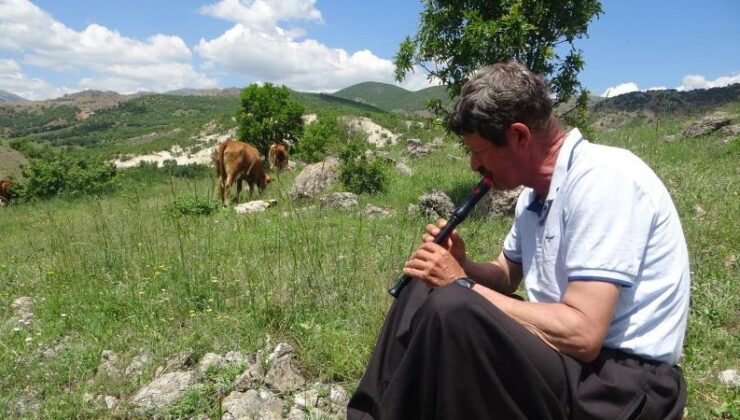 Flüt eşliğinde sürülerini otlatıyor
