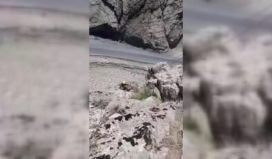 Hakkari’de mahsur kalan keçi kurtarıldı