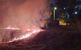 Havai fişek anız yangınına neden oldu