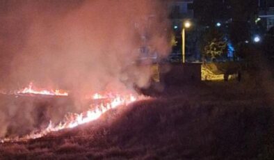 Havai fişek anız yangınına neden oldu