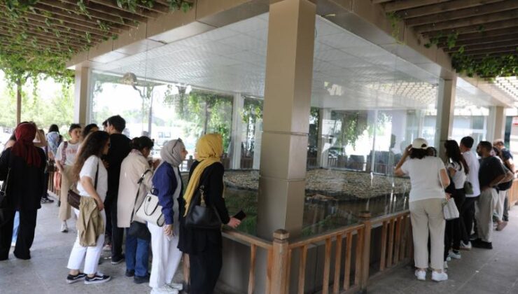 Hedef Diyarbakır’ı turizmde hak ettiği yere taşımak