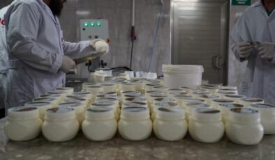 Hibeyle peynir üretimi yapan girişimci başarısı