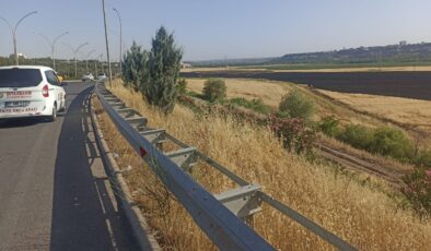 Buğday ekili 150 dönüm alanda çıkan yangın söndürüldü