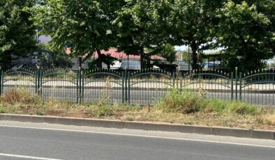 Karacadağ Bulvarı’ndaki orta refüj bakım istiyor