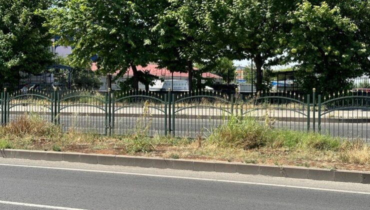 Karacadağ Bulvarı’ndaki orta refüj bakım istiyor